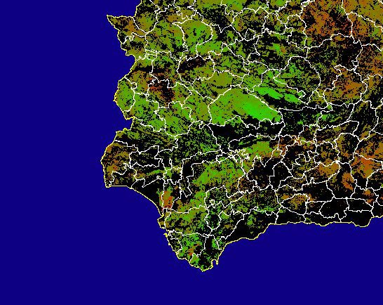 Imagen de NDVI medio secano: Índices de vegetación medios del mes para las zonas de cultivos de secano y pastizales - Suroeste