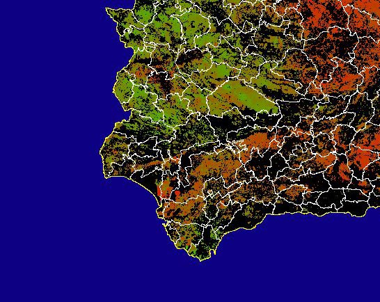 Imagen de NDVI medio secano: Índices de vegetación medios del mes para las zonas de cultivos de secano y pastizales - Suroeste