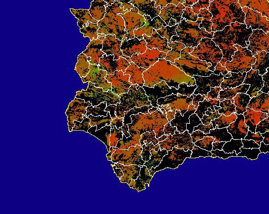 Imagen de NDVI medio secano: Índices de vegetación medios del mes para las zonas de cultivos de secano y pastizales