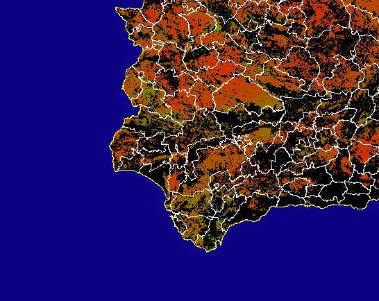 Imagen de NDVI medio secano: Índices de vegetación medios del mes para las zonas de cultivos de secano y pastizales