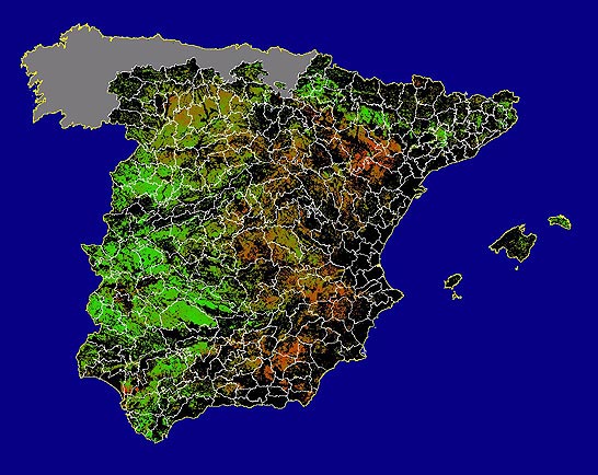 Imegen de NDVI medio secano: Índices de vegetación medios del mes para las zonas de cultivos de secano y pastizales