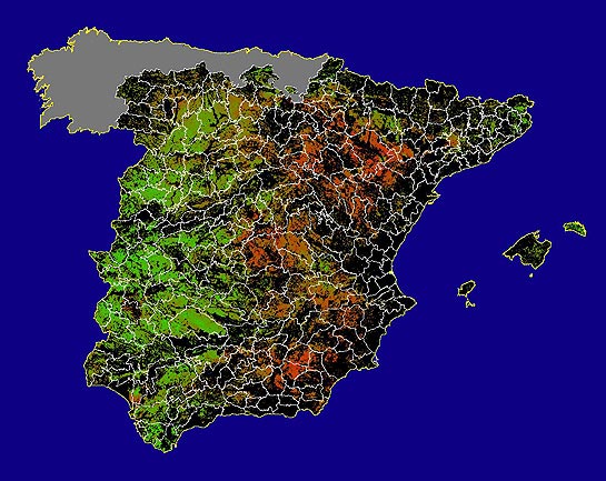 Imegen de NDVI medio secano: Índices de vegetación medios del mes para las zonas de cultivos de secano y pastizales