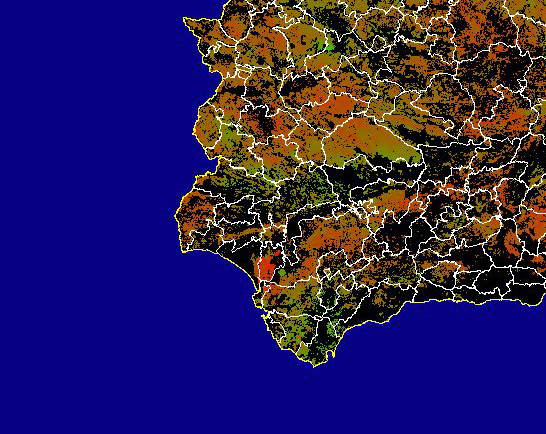 Imagen de NDVI medio secano: Índices de vegetación medios del mes para las zonas de cultivos de secano y pastizales