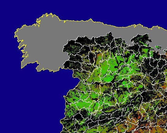 Imagen de NDVI medio secano: Índices de vegetación medios del mes para las zonas de cultivos de secano y pastizales