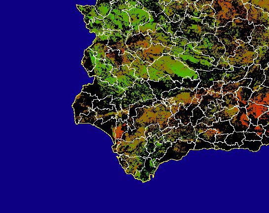 Imagen de NDVI medio secano: Índices de vegetación medios del mes para las zonas de cultivos de secano y pastizales