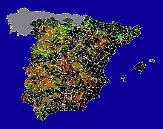 Imagen de NDVI medio secano: Índices de vegetación medios del mes para las zonas de cultivos de secano y pastizales