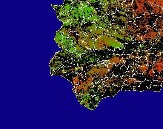 Imagen de NDVI medio secano: Índices de vegetación medios del mes para las zonas de cultivos de secano y pastizales - Suroeste