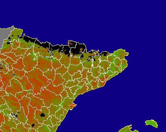 Imagen de NDVI medio mensual: Índices de vegetación medios del mes - Noreste