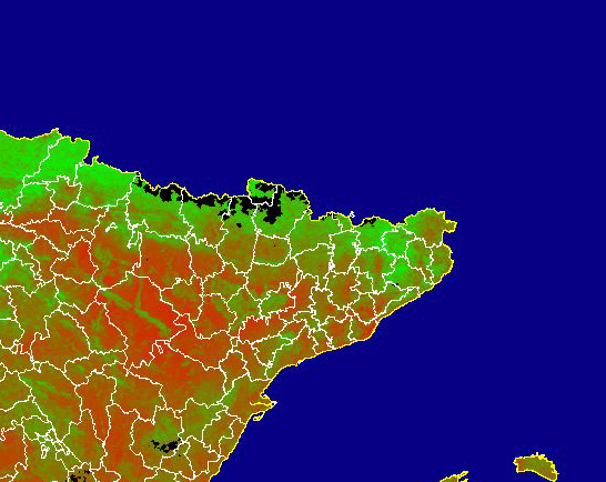 Imagen de NDVI medio mensual: Índices de vegetación medios del mes