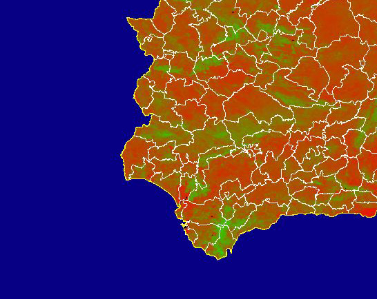 Imagen de NDVI medio mensual: Índices de vegetación medios del mes