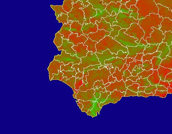 Imagen de NDVI medio mensual: Índices de vegetación medios del mes