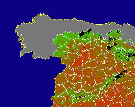 Imagen de NDVI medio mensual: Índices de vegetación medios del mes