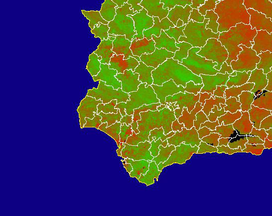 Imagen de NDVI medio mensual: Índices de vegetación medios del mes - Suroeste