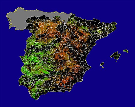 Imegen de NDVI medio secano: Índices de vegetación medios del mes para las zonas de cultivos de secano y pastizales