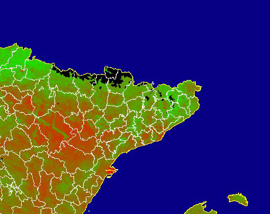 Imagen del NDVI medio mensual: Índices de vegetación medios del mes