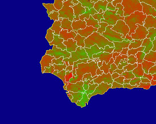 Imagen del NDVI medio mensual: Índices de vegetación medios del mes