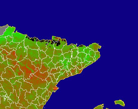 Imagen del NDVI medio mensual: Índices de vegetación medios del mes