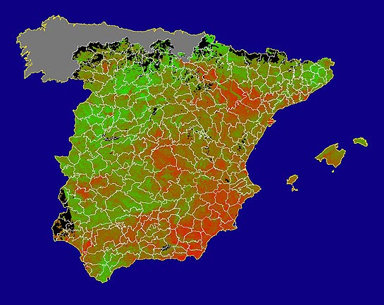 Imagen del NDVI medio mensual: Índices de vegetación medios del mes