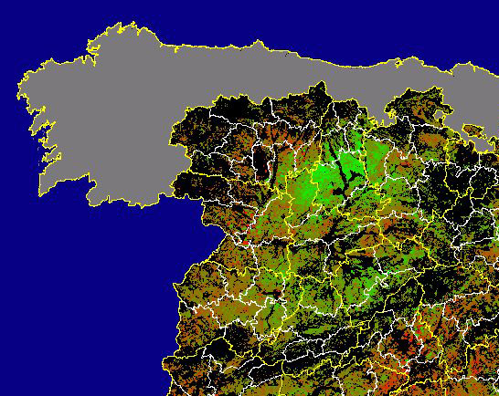 Imagen de Diferencias NDVI: Comparativa entre los índices de vegetación del mes de Enero del año actual y los de la media histórica - Noroeste