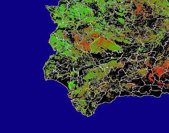 Imagen de Diferencias NDVI: Comparativa entre los índices de vegetación del mes de Enero del año actual y los de la media histórica - Suroeste