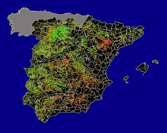 Imagen de Diferencias NDVI: Comparativa entre los índices de vegetación del mes de Enero del año actual y los de la media histórica