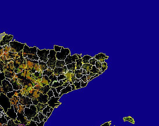 Imagen de las Diferencias acumuladas NDVI: Comparativa entre los índices de vegetación acumulados de enero a mayo (a junio en el mes de julio) del año actual y los de la media histórica