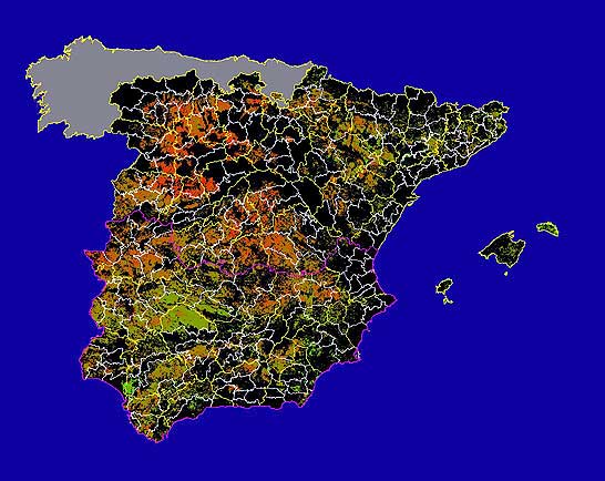 Imagen de las Diferencias acumuladas NDVI: Comparativa entre los índices de vegetación acumulados de enero a mayo (a junio en el mes de julio) del año actual y los de la media histórica