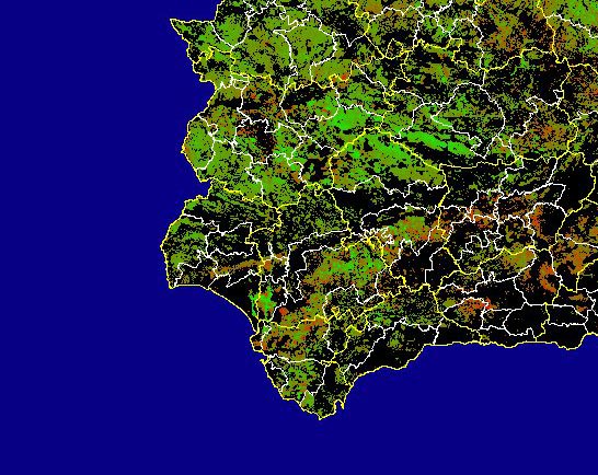 Imagen de Diferencias acumuladas NDVI: Comparativa entre los índices de vegetación acumulados de enero a mayo del año actual y los de la media histórica