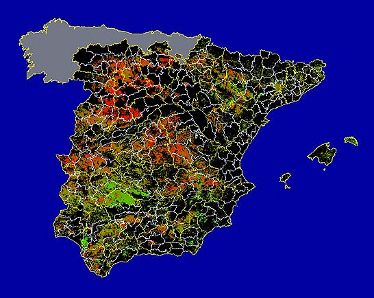 Imagen de las Diferencias acumuladas NDVI: Comparativa entre los índices de vegetación acumulados de enero a mayo del año actual y los de la media histórica