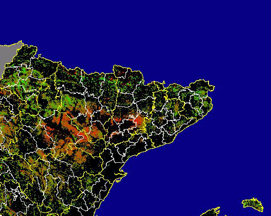 Imagen de Diferencias NDVI: Comparativa entre los índices de vegetación del mes de Enero del año actual y los de la media histórica - Noreste