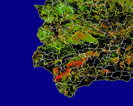 Imagen de Diferencias NDVI: Comparativa entre los índices de vegetación del mes de Enero del año actual y los de la media histórica - Suroeste