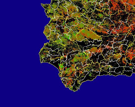 Imagen de Diferencias NDVI: Comparativa entre los índices de vegetación del mes de Enero del año actual y los de la media histórica - Suroeste