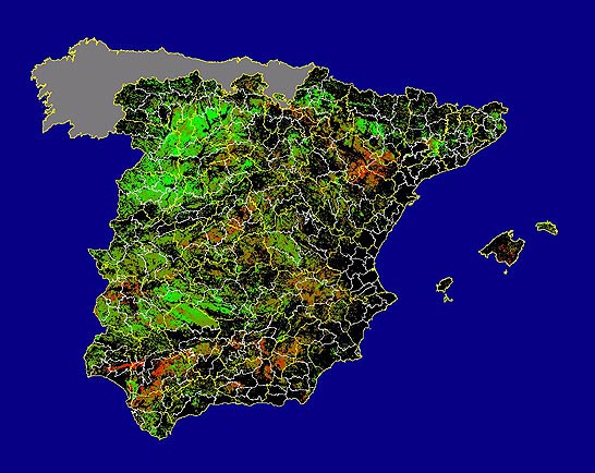 Imagen de Diferencias NDVI: Comparativa entre los índices de vegetación del mes de Enero del año actual y los de la media histórica