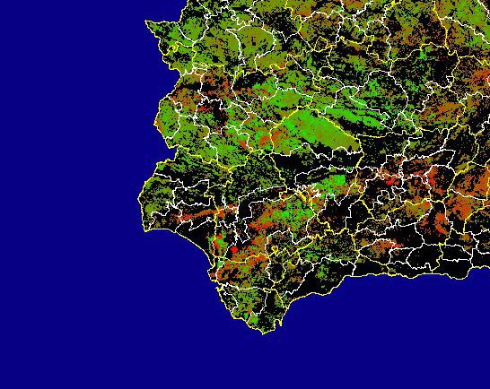 Imagen de Diferencias NDVI: Comparativa entre los índices de vegetación del mes de Febrero del año actual y los de la media histórica - Suroeste