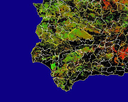 Imagen de Diferencias NDVI: Comparativa entre los índices de vegetación del mes de Marzo del año actual y los de la media histórica - Suroeste