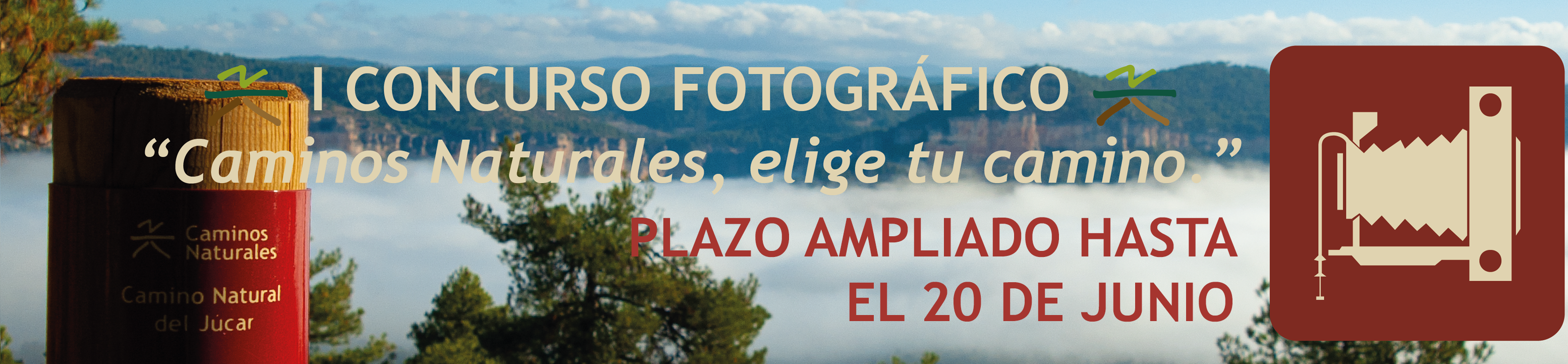 I Concurso Fotográfico 