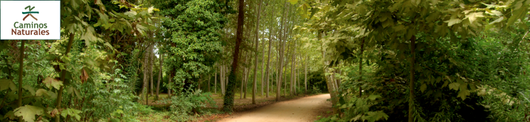 Camino Natural del Carrilet I 