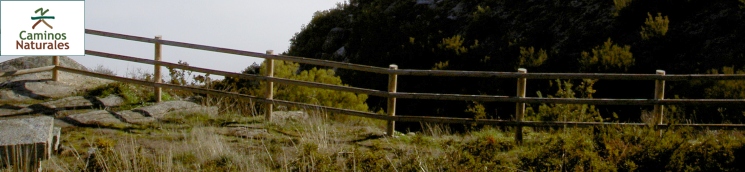 Camino Natural de la Ribeira Sacra