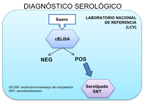 diagnóstico serológico