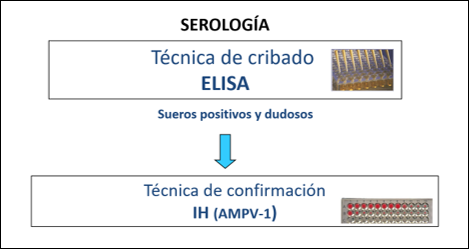 Diagnóstico serológico