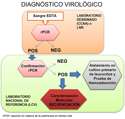 Diagnóstico virológico