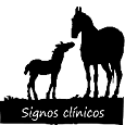 Signos clínicos