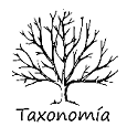 Taxonomía