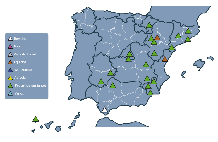 Mapa de acceso a las experiencias