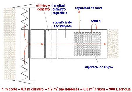 cosech-grano2