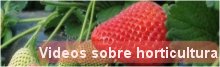 Enlace a videos de horticultura