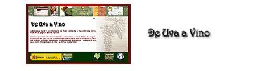 Enlace a la exposición del vino