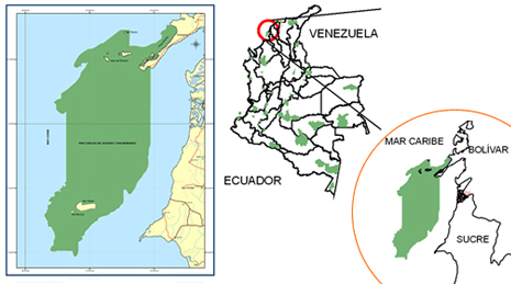 Corales del Rosario y San Bernardo