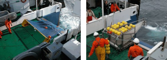 Foto izquierda - Arte de pesca bou de vara.
Foto derecha - Trineo suprabentónico.