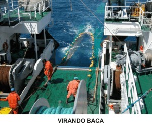 Personal del barco virando red de arrastre tipo 'baca'